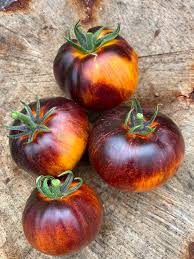 NR Tomato Seed