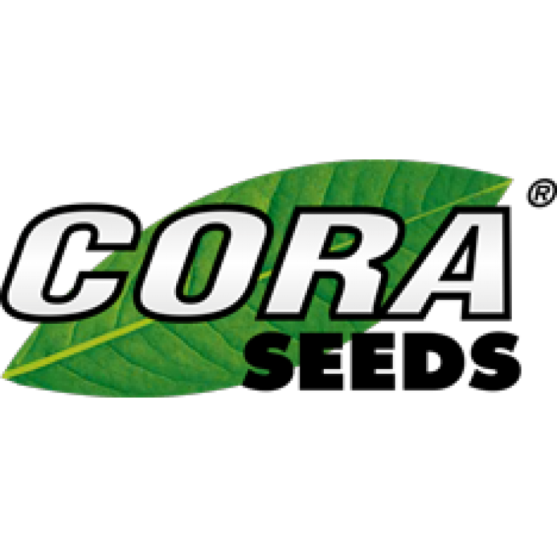 cora 234 100