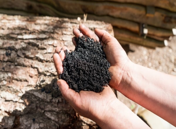 Biochar