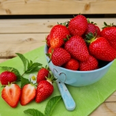 Strawberries 2021 0132